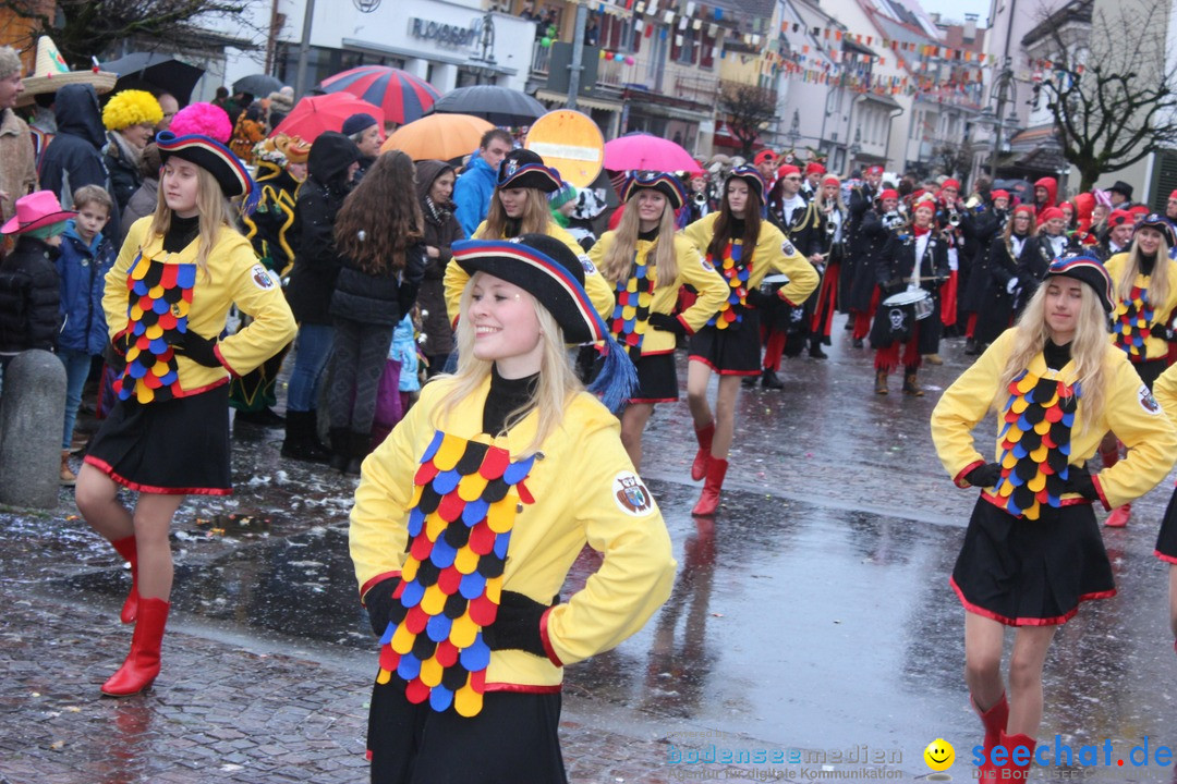 Fasnetsumzug - Fasching: Langenargen am Bodensee, 10.01.2016