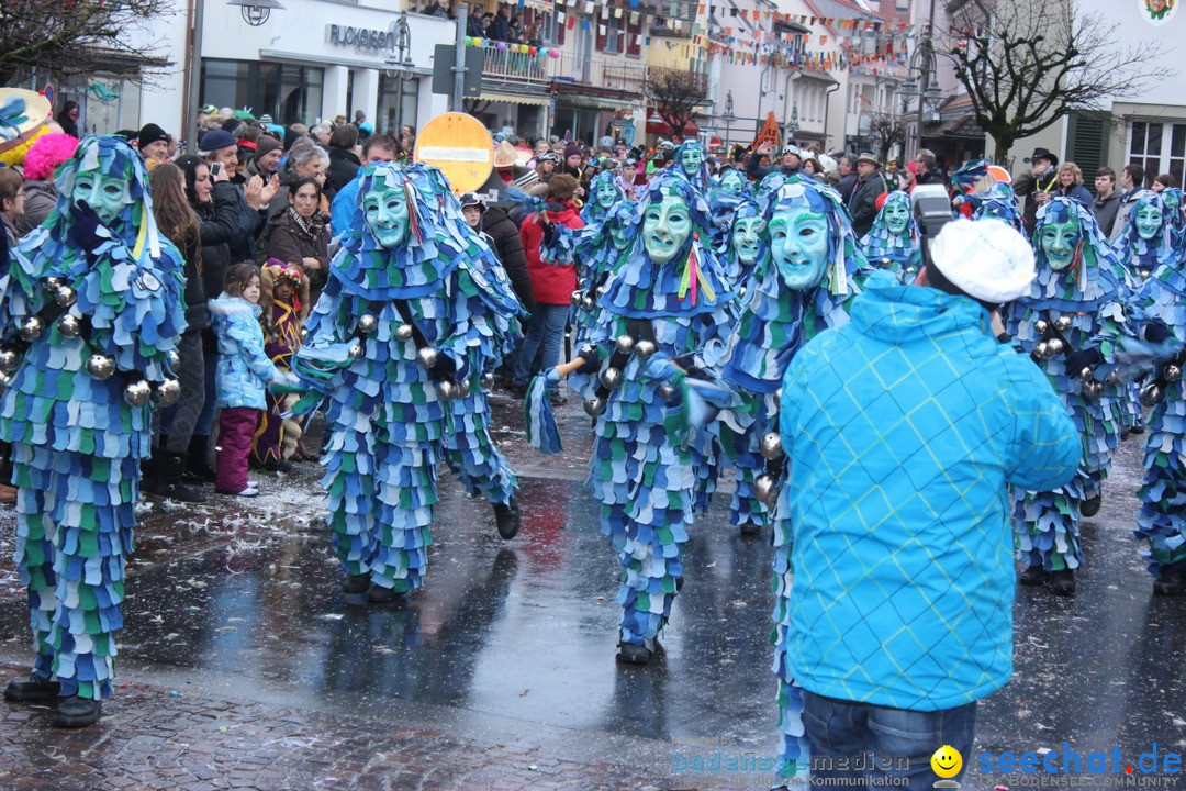 Fasnetsumzug - Fasching: Langenargen am Bodensee, 10.01.2016