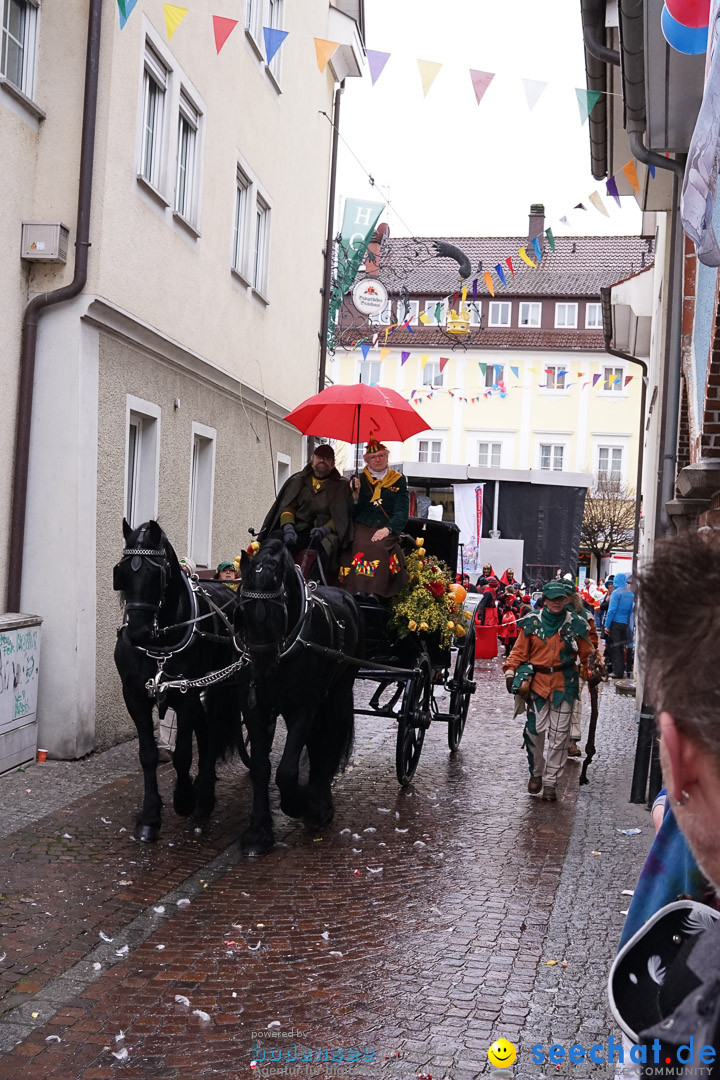 Fasnetsumzug - Fasching: Langenargen am Bodensee, 10.01.2016