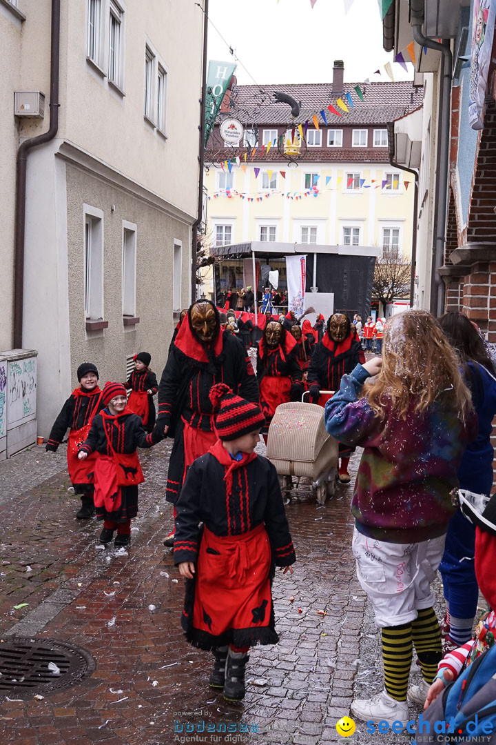 Fasnetsumzug - Fasching: Langenargen am Bodensee, 10.01.2016