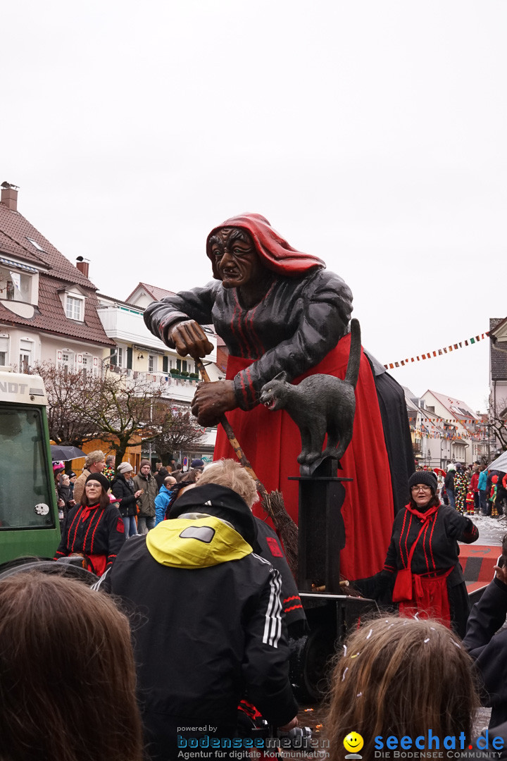 Fasnetsumzug - Fasching: Langenargen am Bodensee, 10.01.2016