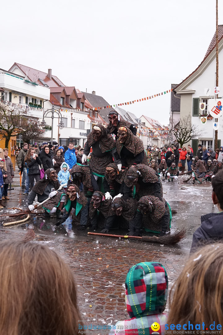 Fasnetsumzug - Fasching: Langenargen am Bodensee, 10.01.2016