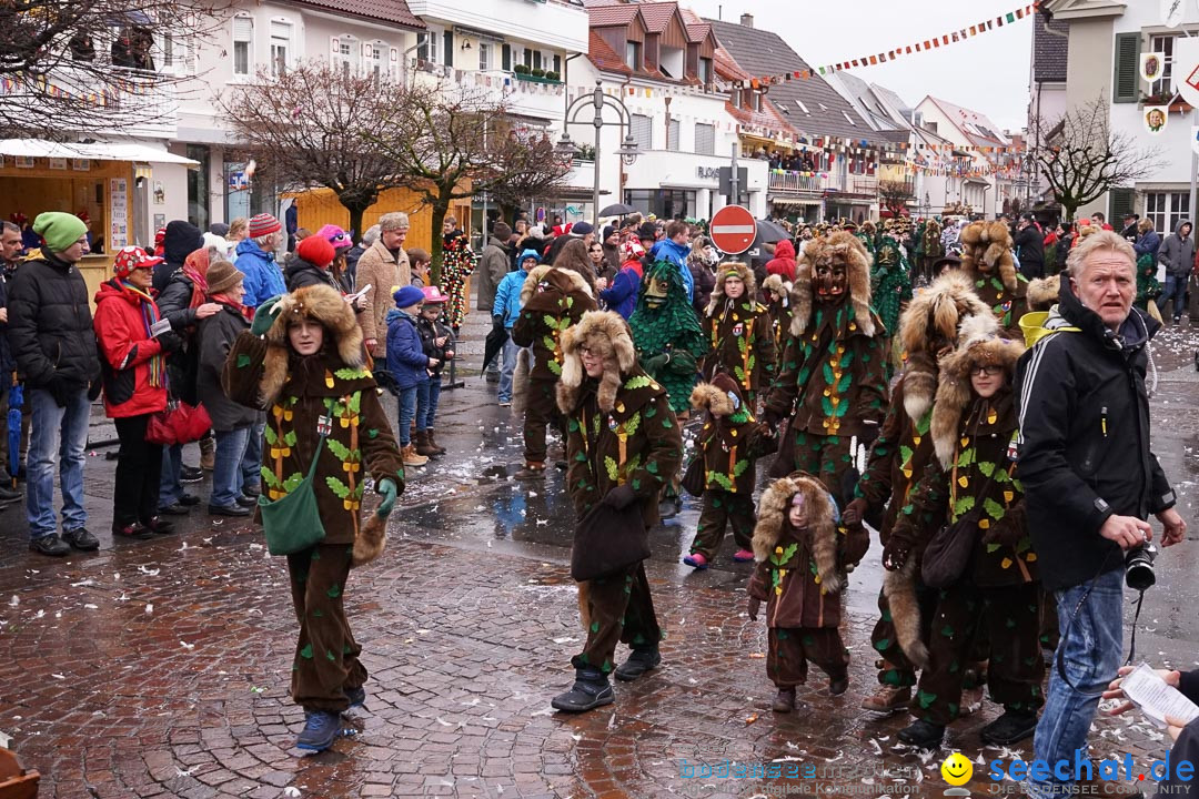 Fasnetsumzug - Fasching: Langenargen am Bodensee, 10.01.2016