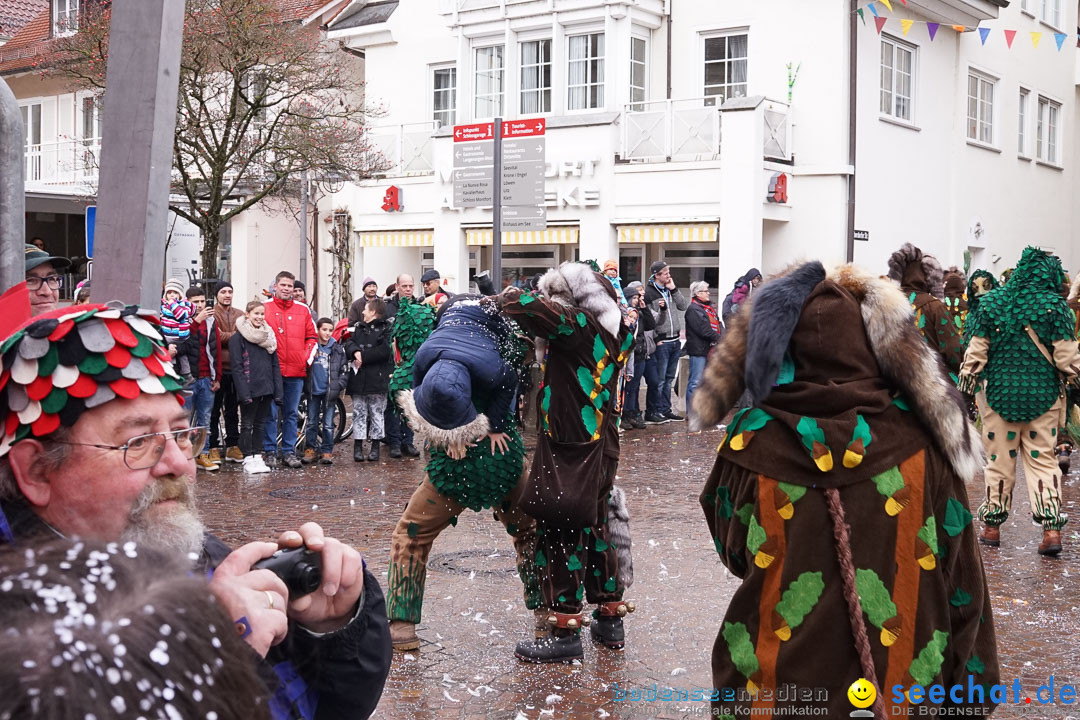 Fasnetsumzug - Fasching: Langenargen am Bodensee, 10.01.2016