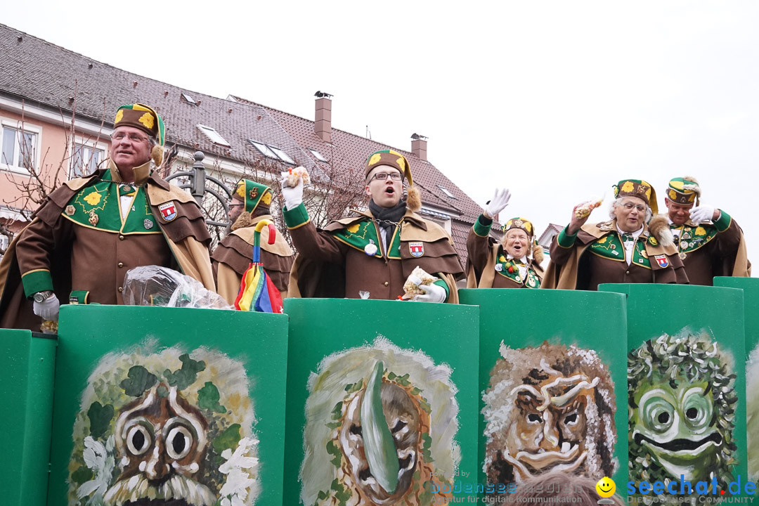 Fasnetsumzug - Fasching: Langenargen am Bodensee, 10.01.2016