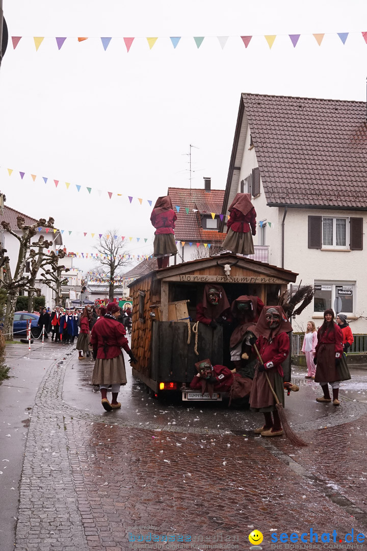 Fasnetsumzug - Fasching: Langenargen am Bodensee, 10.01.2016