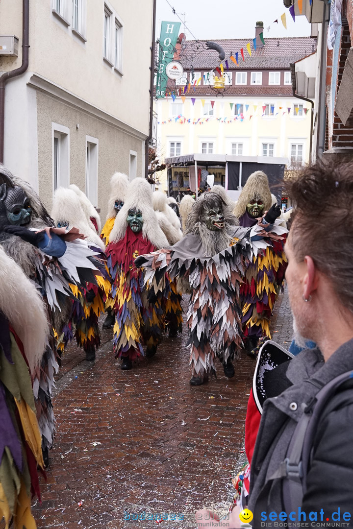 Fasnetsumzug - Fasching: Langenargen am Bodensee, 10.01.2016