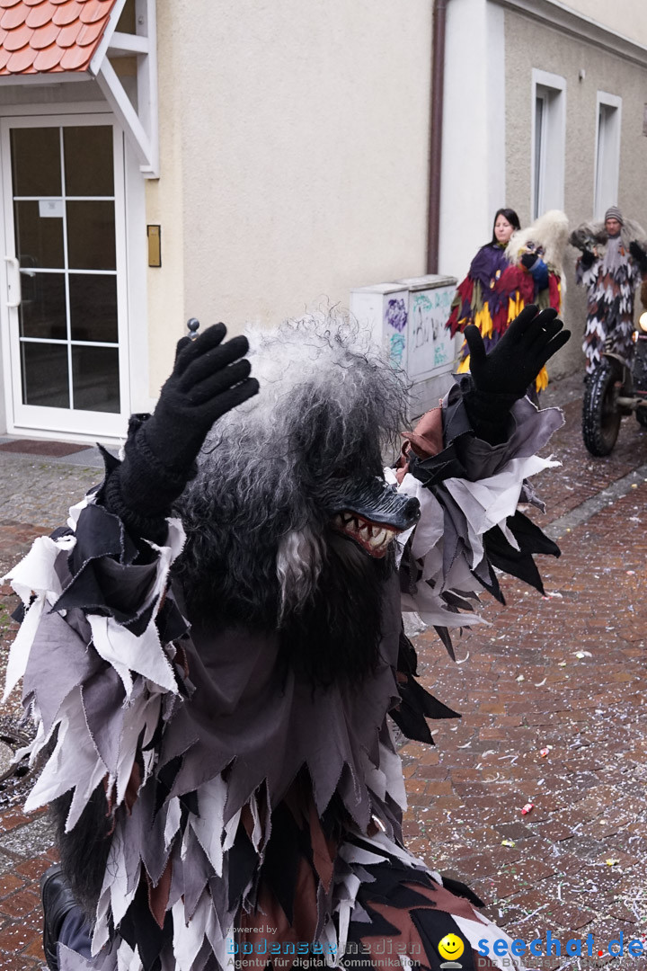 Fasnetsumzug - Fasching: Langenargen am Bodensee, 10.01.2016