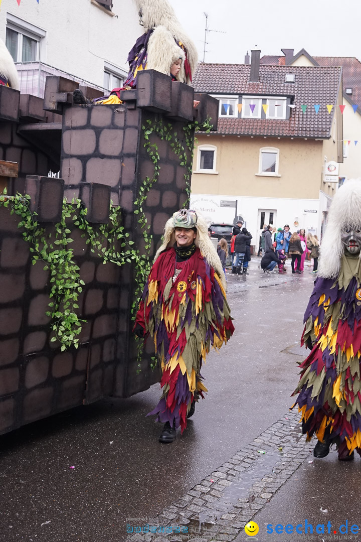 Fasnetsumzug - Fasching: Langenargen am Bodensee, 10.01.2016