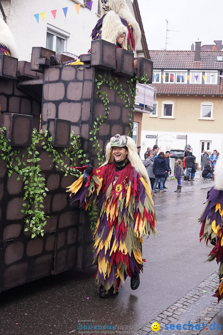 Fasnetsumzug - Fasching: Langenargen am Bodensee, 10.01.2016