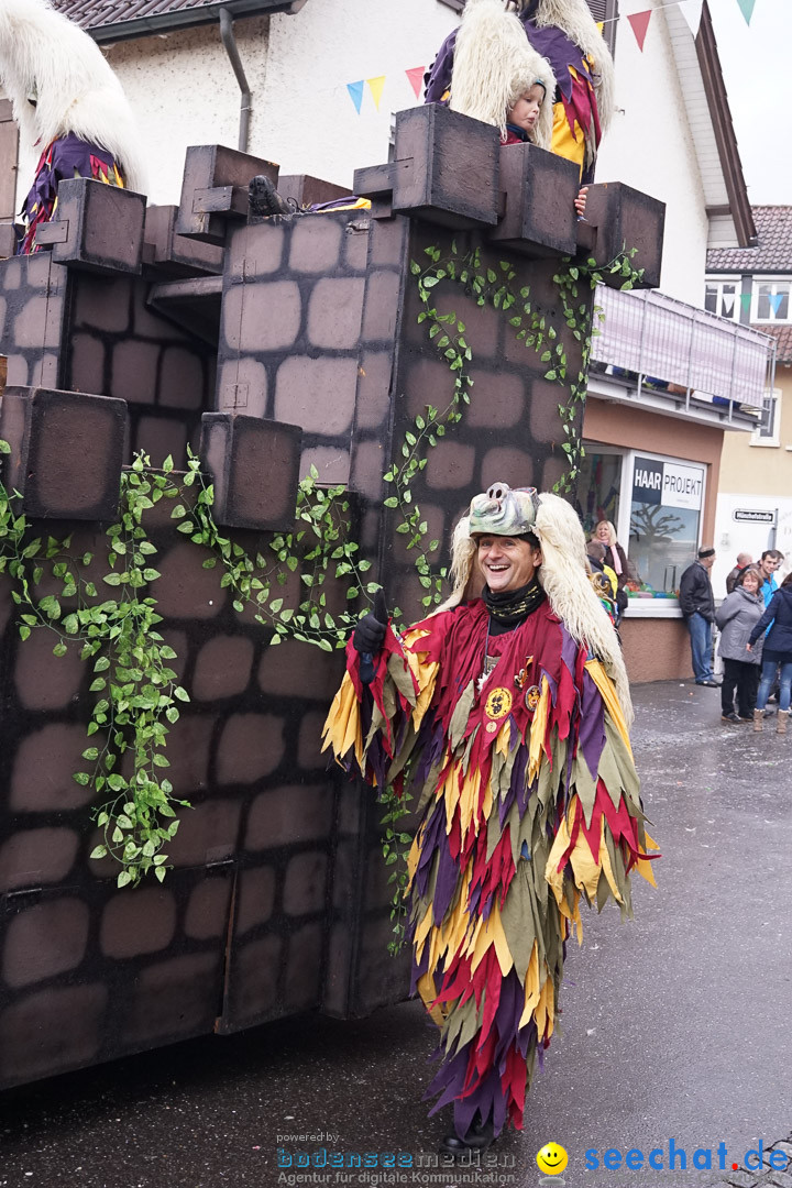 Fasnetsumzug - Fasching: Langenargen am Bodensee, 10.01.2016