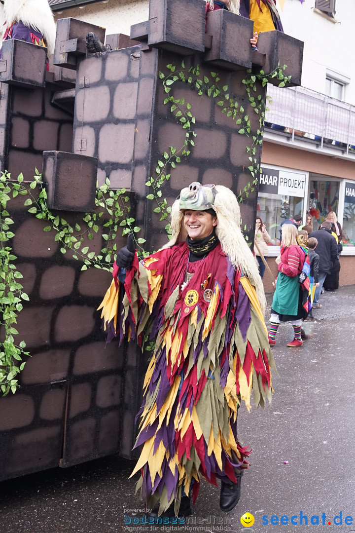 Fasnetsumzug - Fasching: Langenargen am Bodensee, 10.01.2016