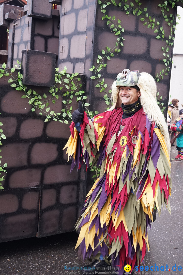 Fasnetsumzug - Fasching: Langenargen am Bodensee, 10.01.2016