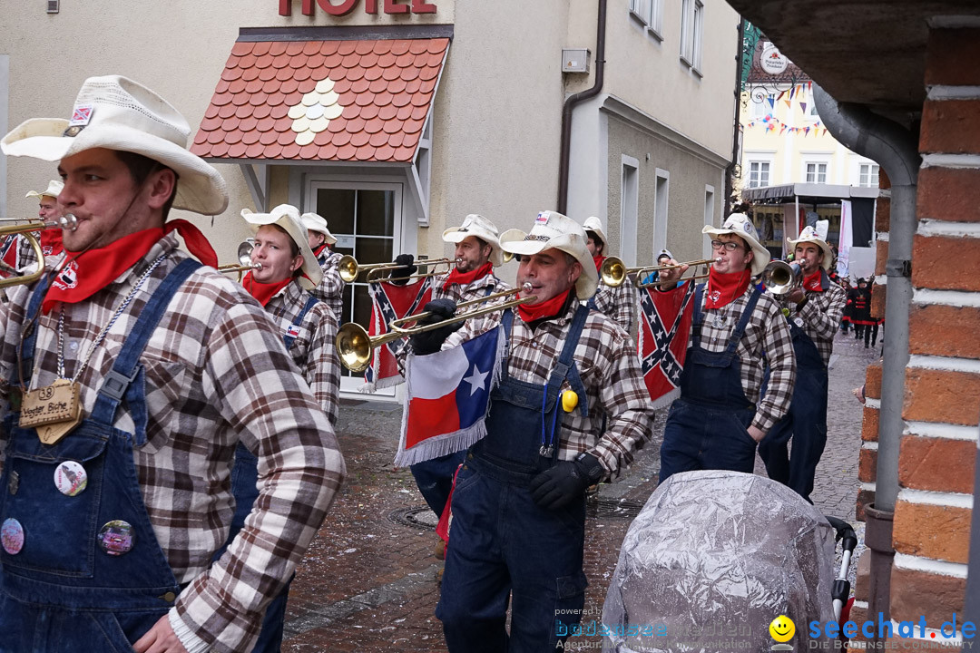 Fasnetsumzug - Fasching: Langenargen am Bodensee, 10.01.2016