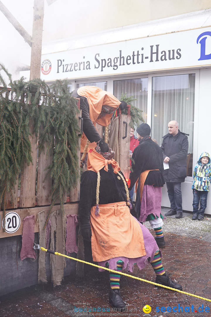 Fasnetsumzug - Fasching: Langenargen am Bodensee, 10.01.2016