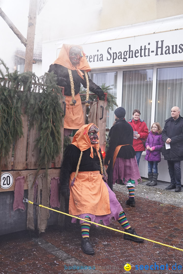 Fasnetsumzug - Fasching: Langenargen am Bodensee, 10.01.2016