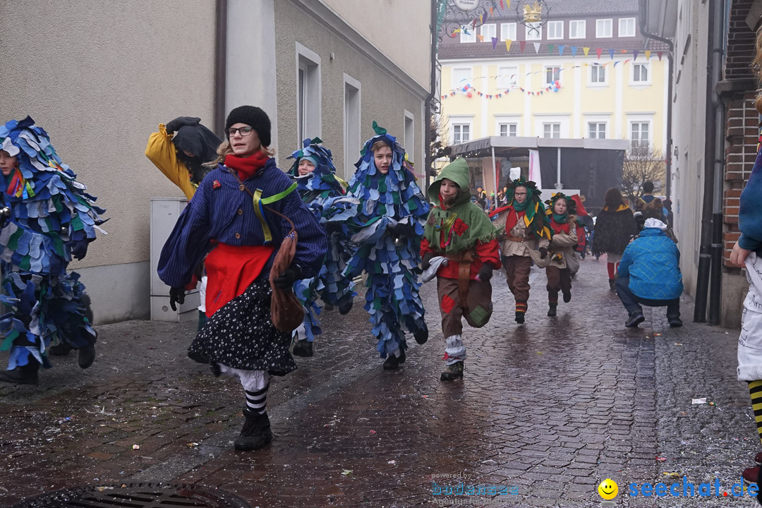 Fasnetsumzug - Fasching: Langenargen am Bodensee, 10.01.2016