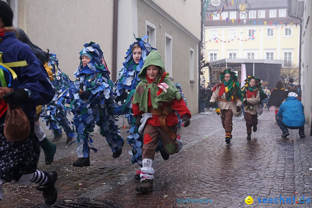 Fasnetsumzug - Fasching: Langenargen am Bodensee, 10.01.2016