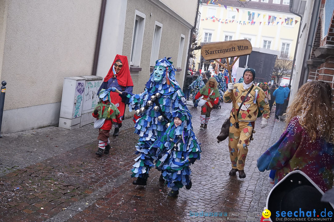 Fasnetsumzug - Fasching: Langenargen am Bodensee, 10.01.2016