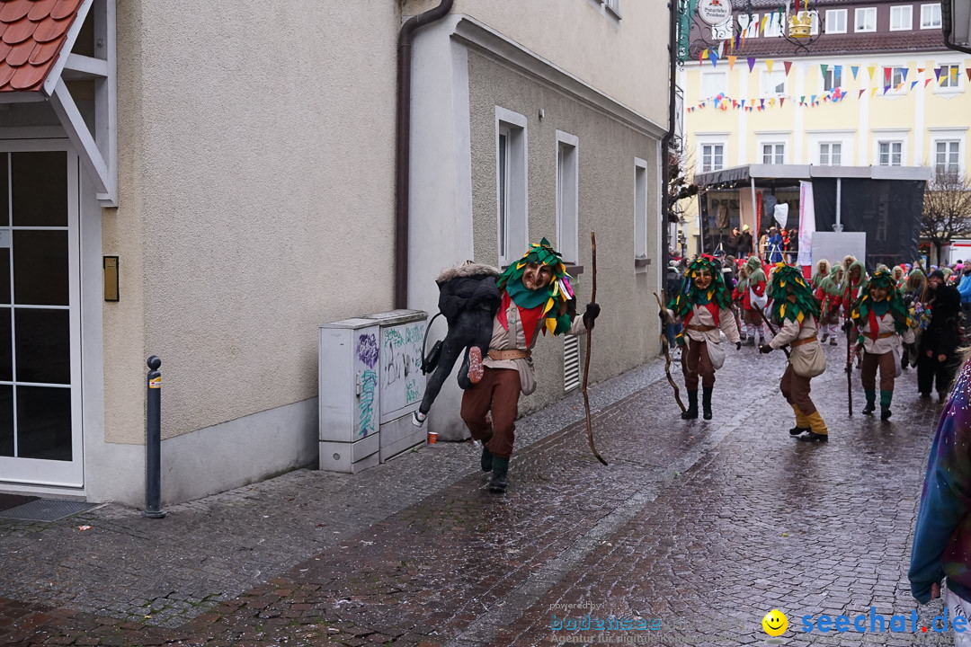 Fasnetsumzug - Fasching: Langenargen am Bodensee, 10.01.2016