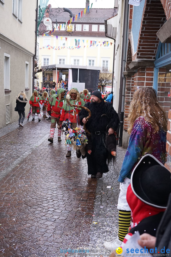 Fasnetsumzug - Fasching: Langenargen am Bodensee, 10.01.2016