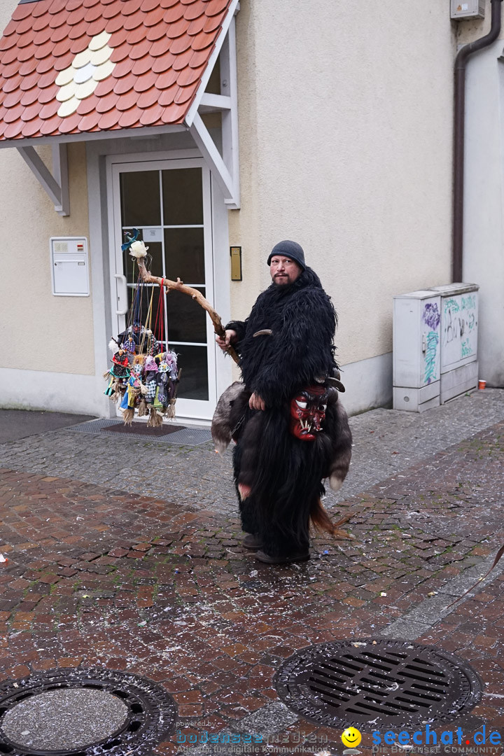 Fasnetsumzug - Fasching: Langenargen am Bodensee, 10.01.2016