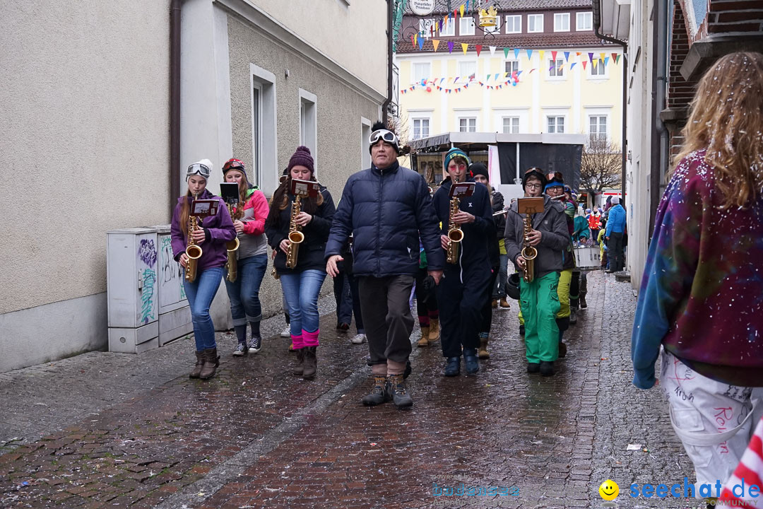 Fasnetsumzug - Fasching: Langenargen am Bodensee, 10.01.2016