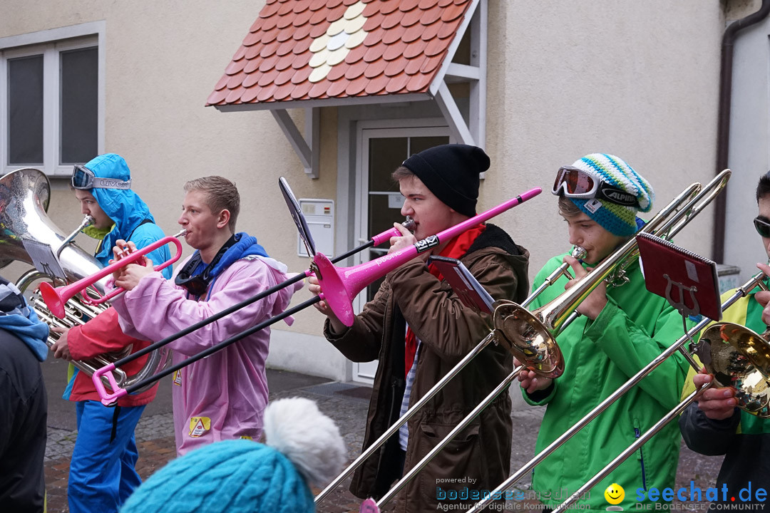 Fasnetsumzug - Fasching: Langenargen am Bodensee, 10.01.2016