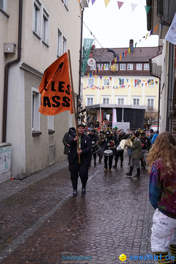 Fasnetsumzug - Fasching: Langenargen am Bodensee, 10.01.2016