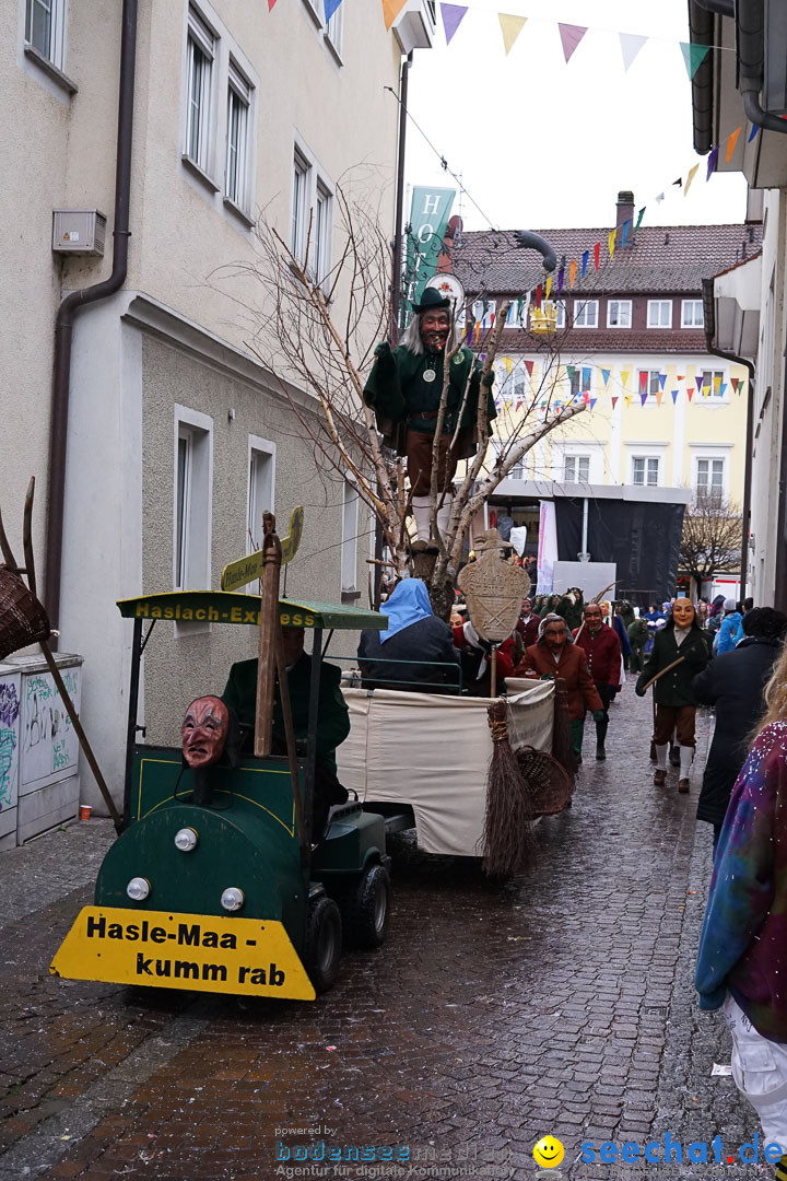 Fasnetsumzug - Fasching: Langenargen am Bodensee, 10.01.2016