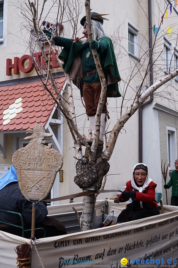 Fasnetsumzug - Fasching: Langenargen am Bodensee, 10.01.2016