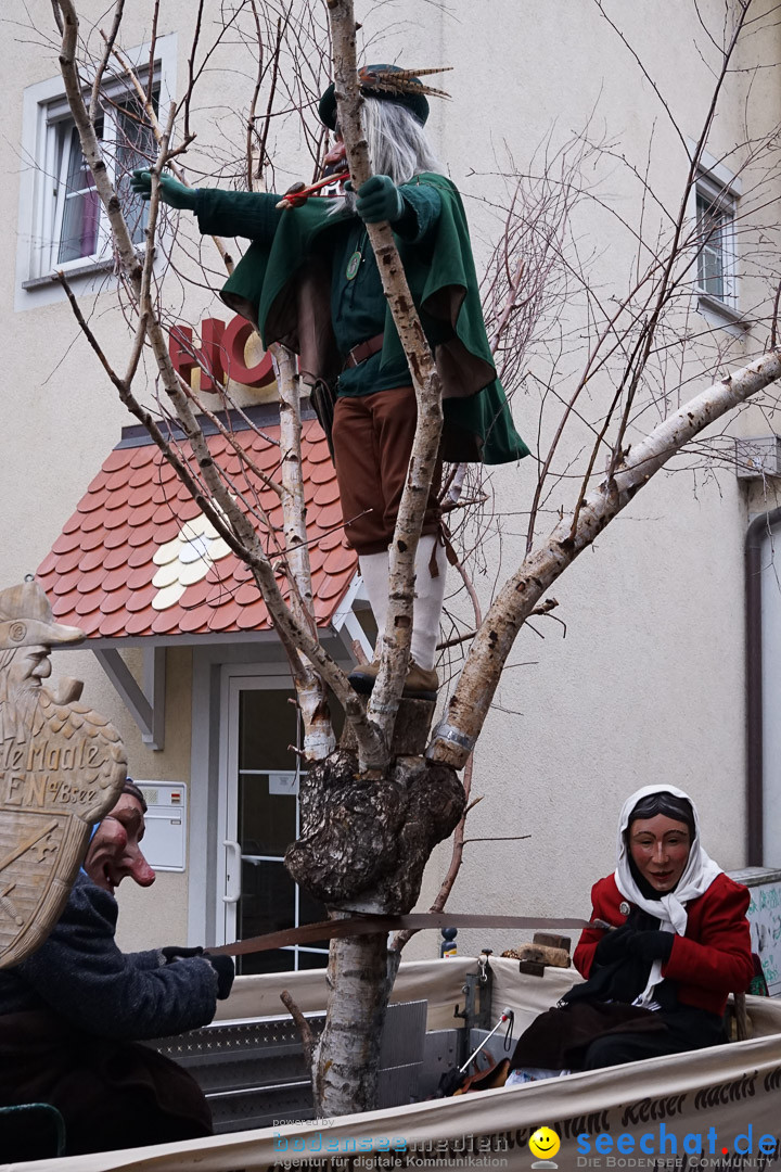 Fasnetsumzug - Fasching: Langenargen am Bodensee, 10.01.2016