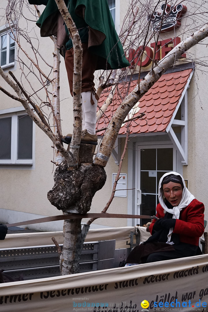 Fasnetsumzug - Fasching: Langenargen am Bodensee, 10.01.2016