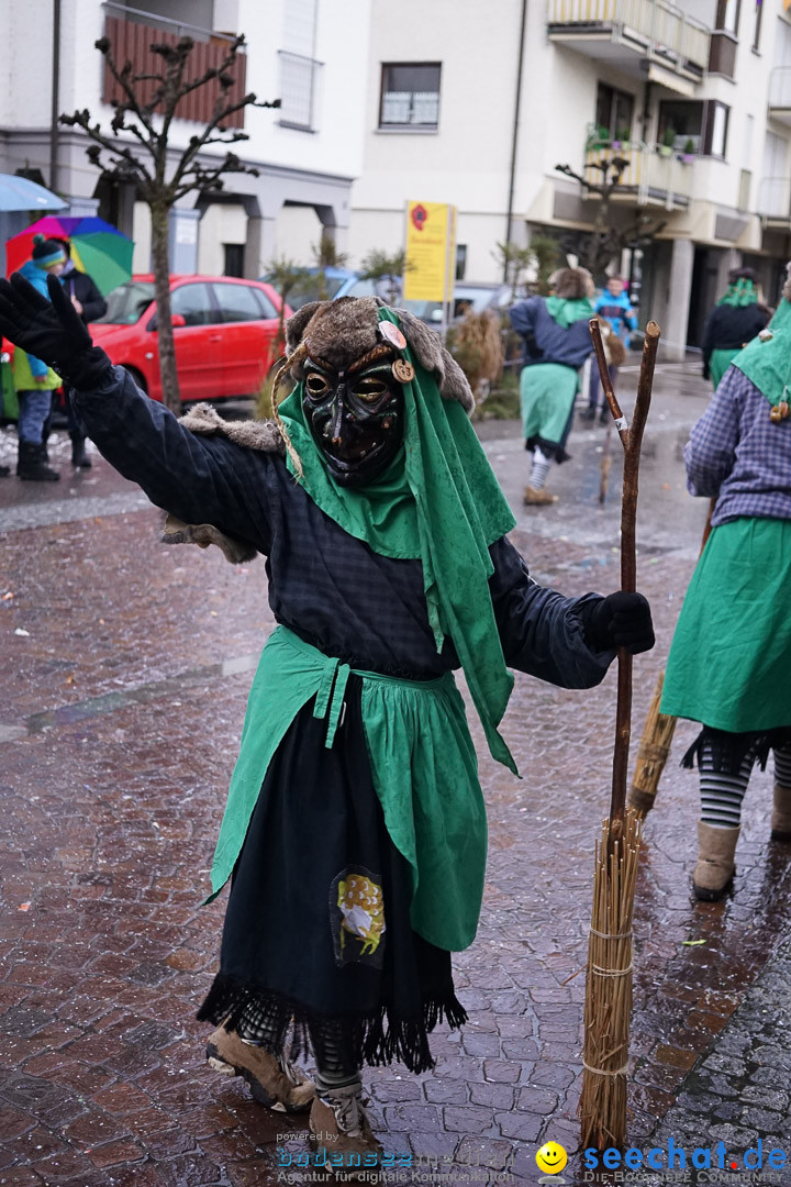 Fasnetsumzug - Fasching: Langenargen am Bodensee, 10.01.2016