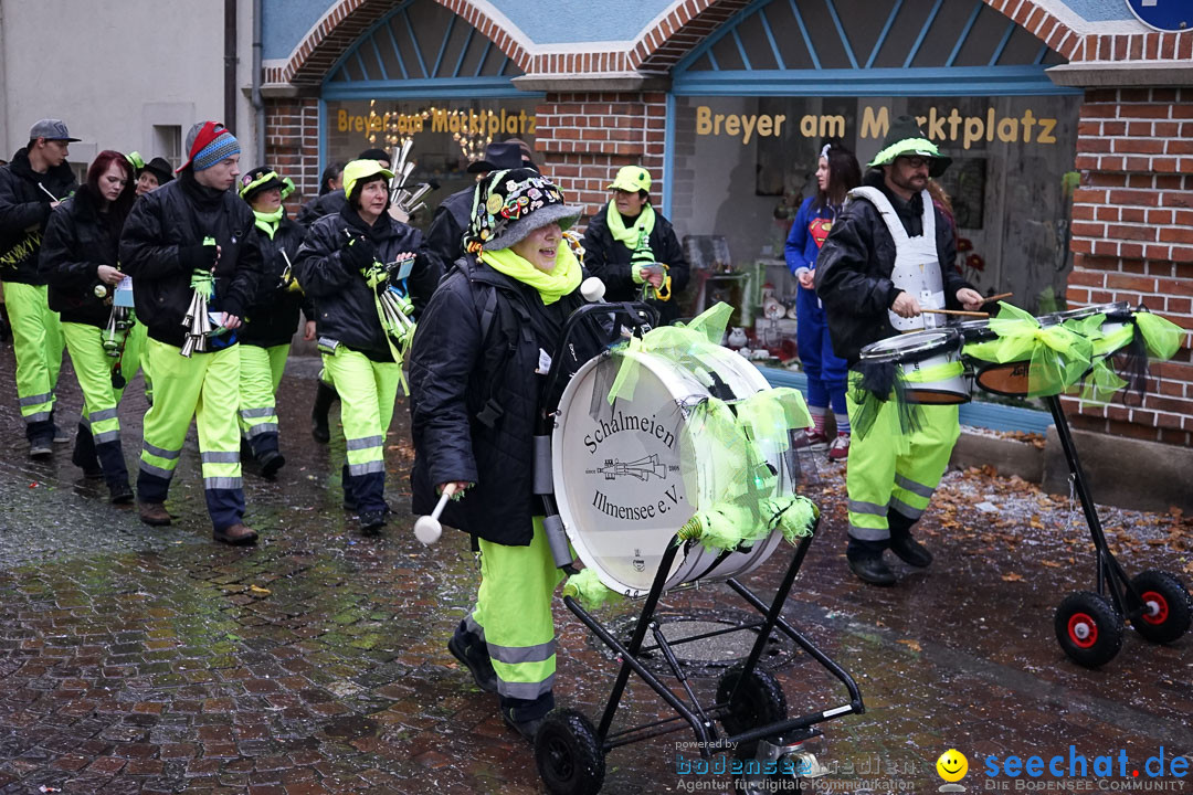 Fasnetsumzug - Fasching: Langenargen am Bodensee, 10.01.2016