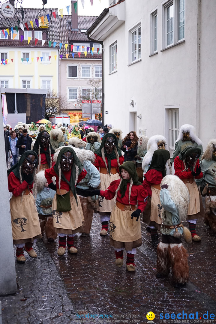 Fasnetsumzug - Fasching: Langenargen am Bodensee, 10.01.2016