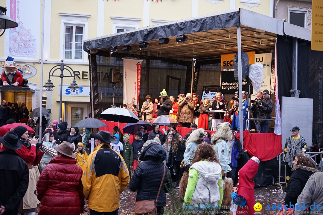 Fasnetsumzug - Fasching: Langenargen am Bodensee, 10.01.2016