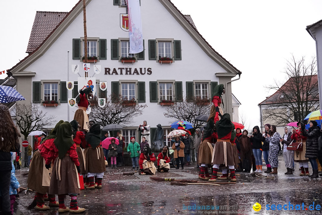 Fasnetsumzug - Fasching: Langenargen am Bodensee, 10.01.2016