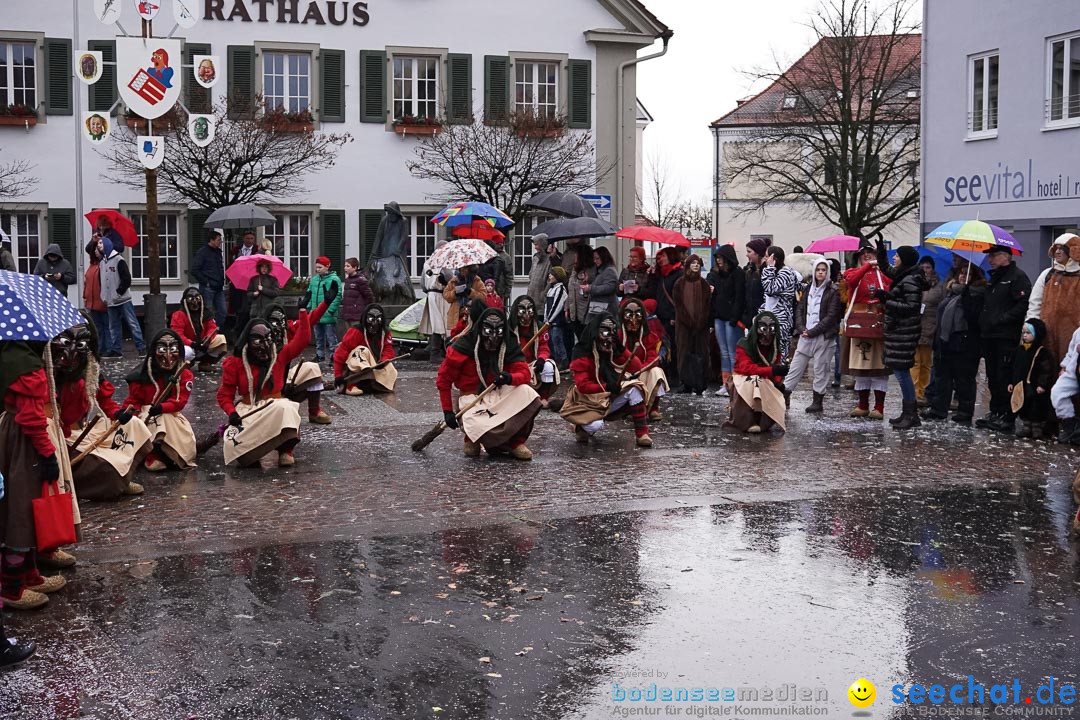 Fasnetsumzug - Fasching: Langenargen am Bodensee, 10.01.2016