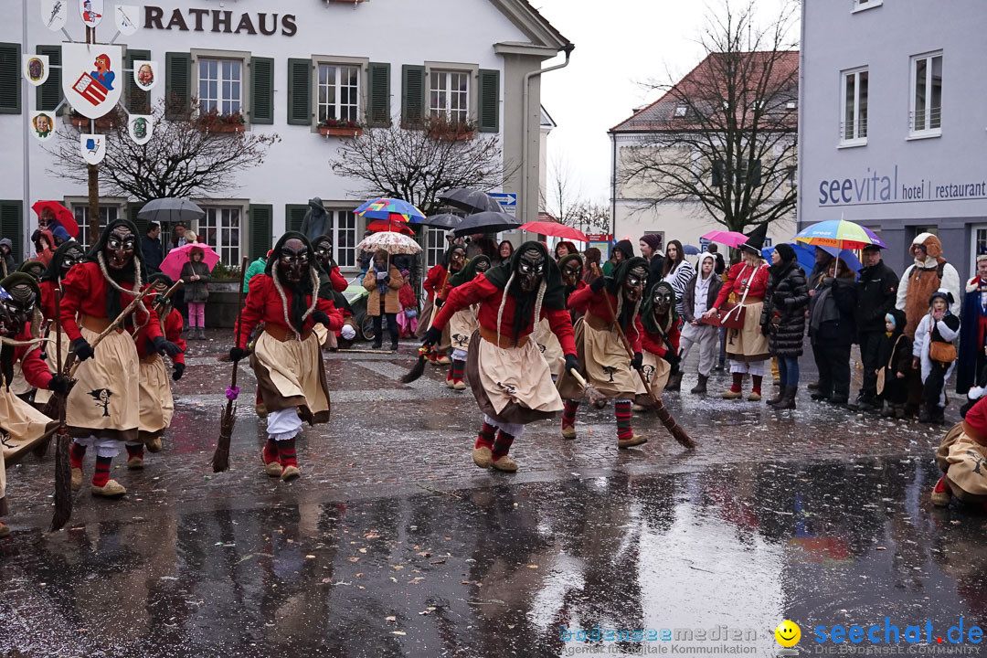 Fasnetsumzug - Fasching: Langenargen am Bodensee, 10.01.2016