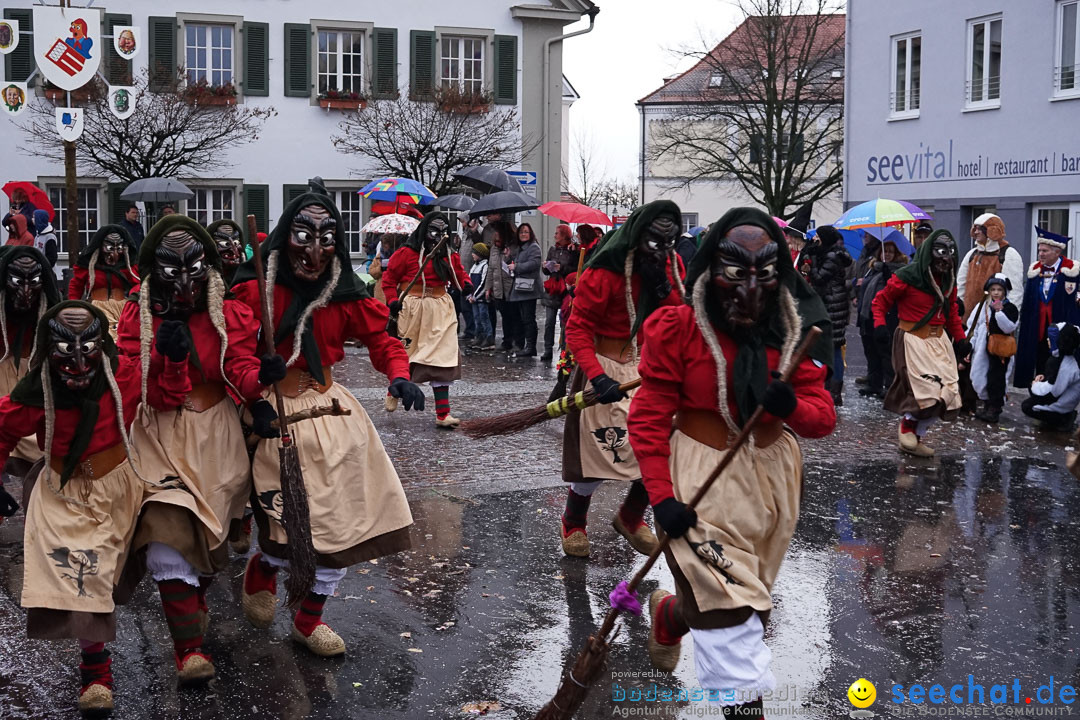 Fasnetsumzug - Fasching: Langenargen am Bodensee, 10.01.2016