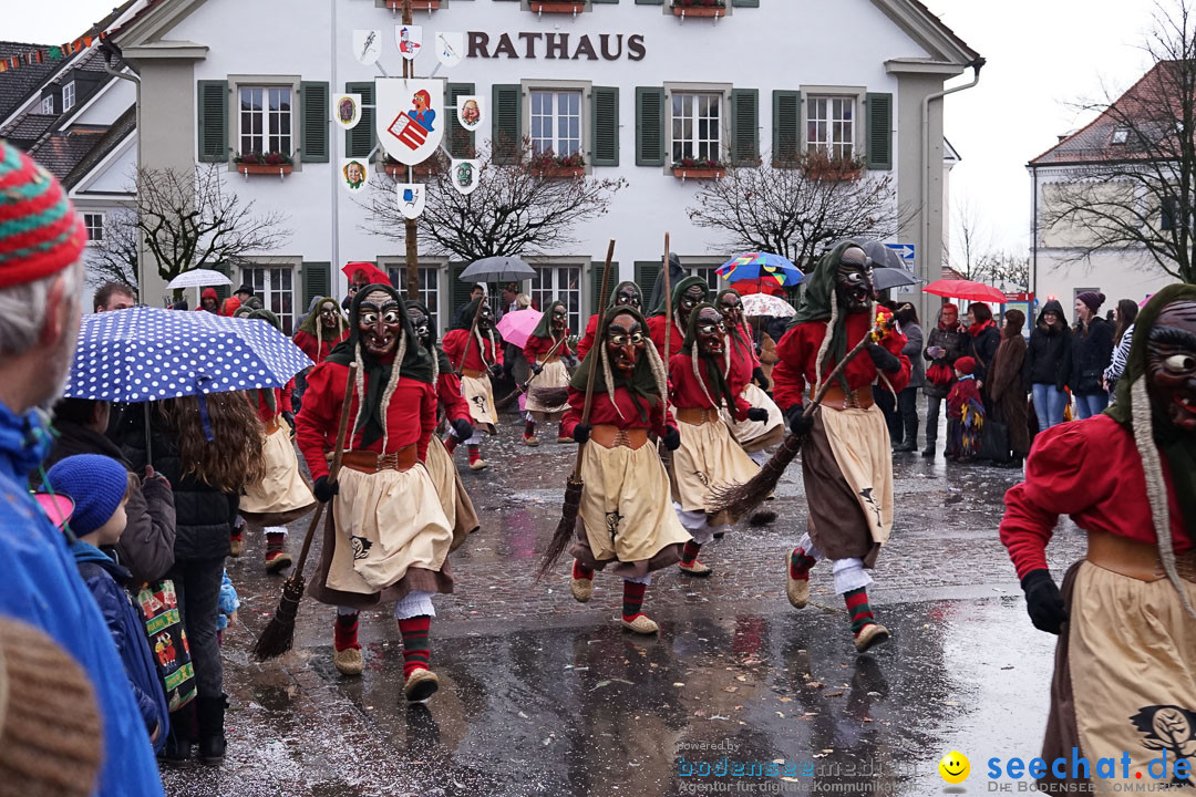 Fasnetsumzug - Fasching: Langenargen am Bodensee, 10.01.2016