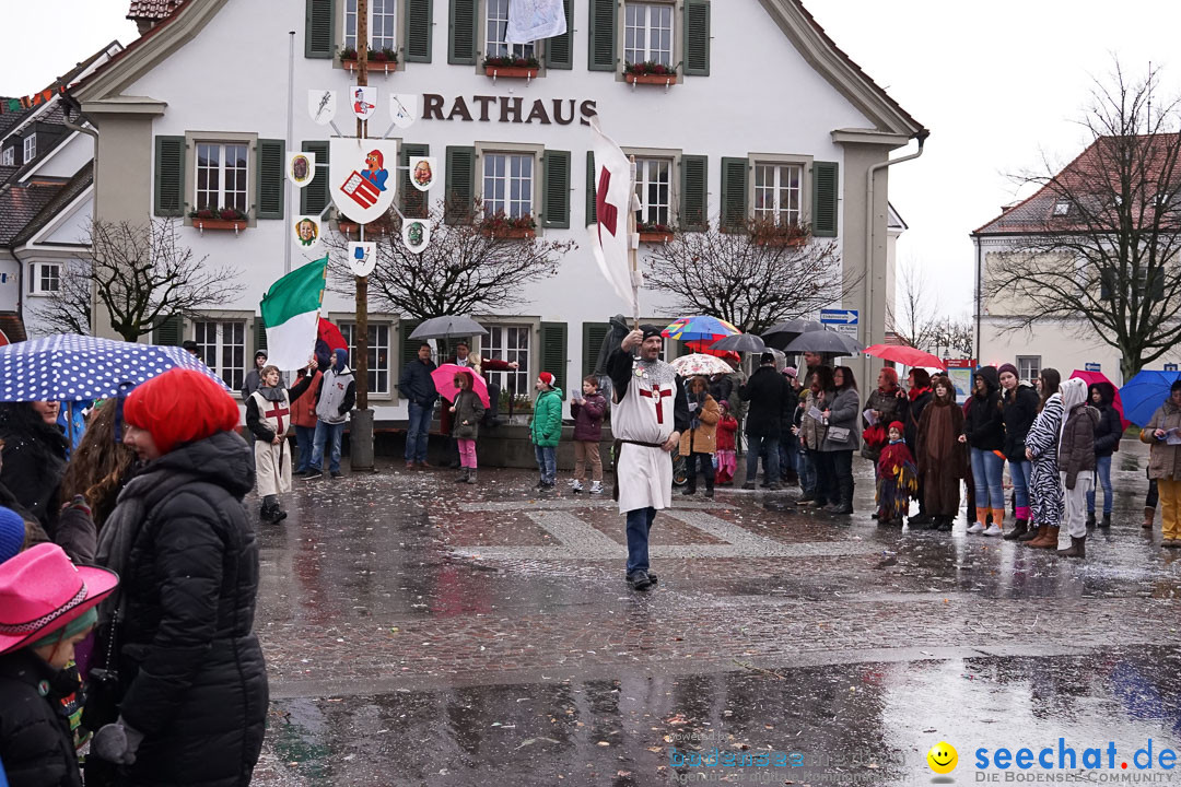 Fasnetsumzug - Fasching: Langenargen am Bodensee, 10.01.2016