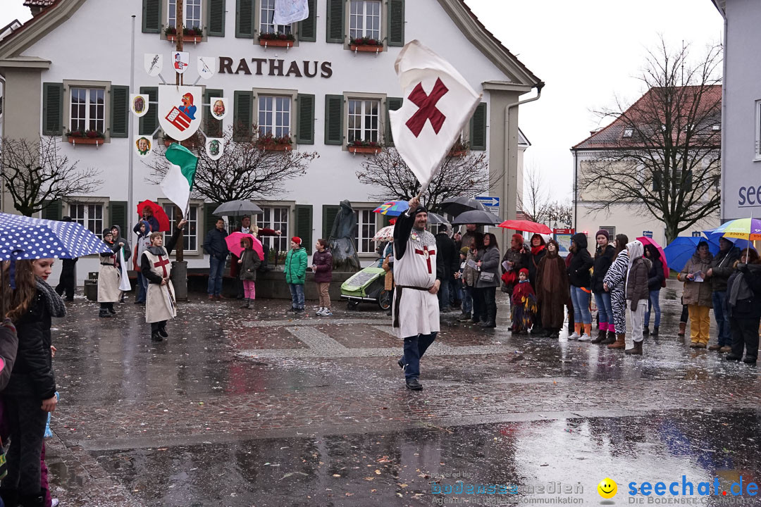 Fasnetsumzug - Fasching: Langenargen am Bodensee, 10.01.2016