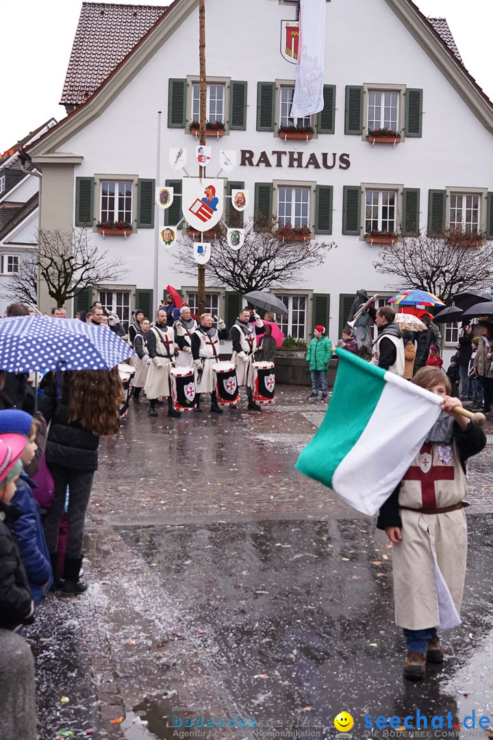 Fasnetsumzug - Fasching: Langenargen am Bodensee, 10.01.2016