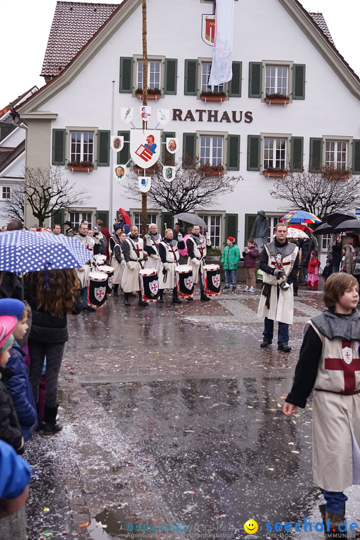 Fasnetsumzug - Fasching: Langenargen am Bodensee, 10.01.2016