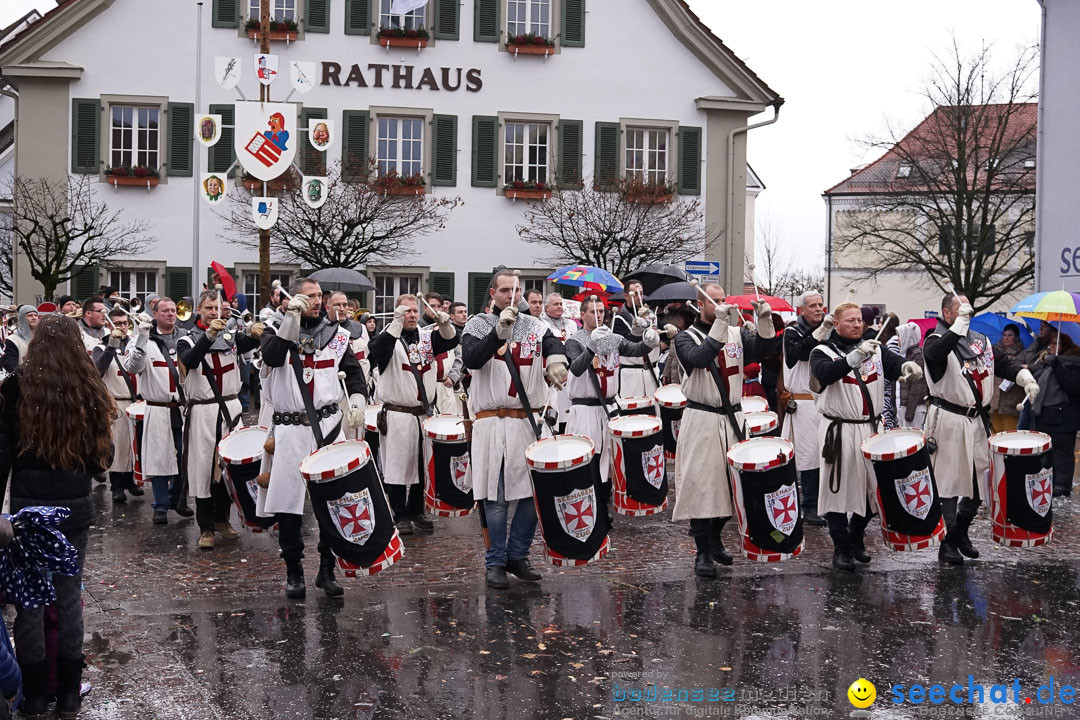 Fasnetsumzug - Fasching: Langenargen am Bodensee, 10.01.2016