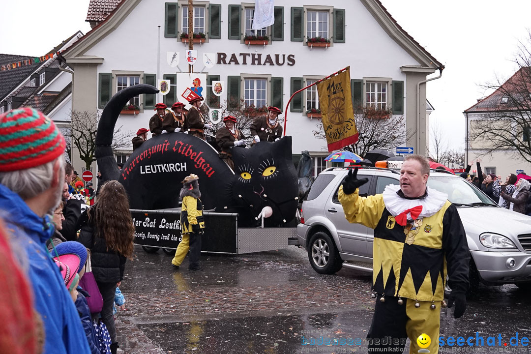 Fasnetsumzug - Fasching: Langenargen am Bodensee, 10.01.2016