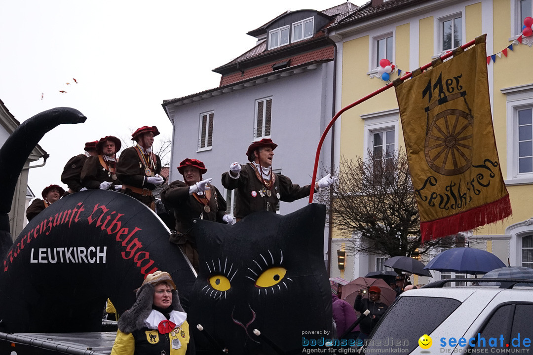 Fasnetsumzug - Fasching: Langenargen am Bodensee, 10.01.2016