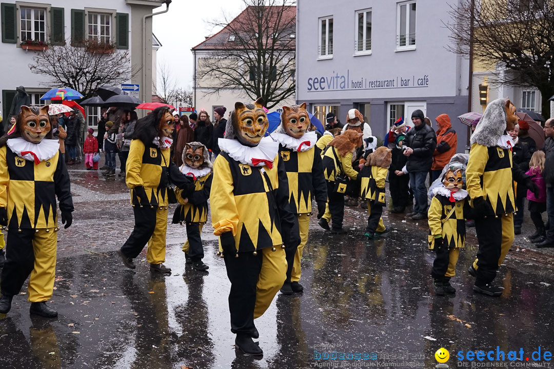 Fasnetsumzug - Fasching: Langenargen am Bodensee, 10.01.2016